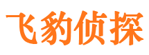 奎文私家调查公司